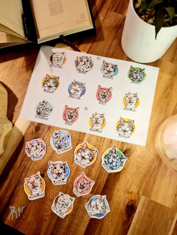 Samolepky Kočky 12ks