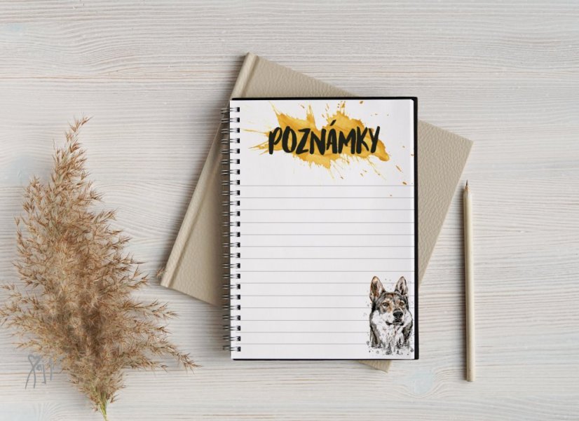 Notýsek ČSV/Saarloos