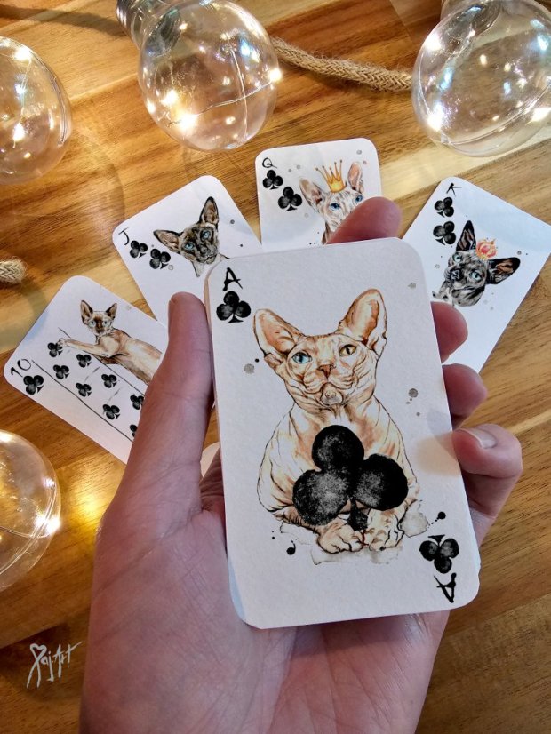 Pack of Cats - Hrací Karty